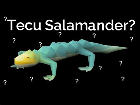 The New Tecu Salamander Review .
